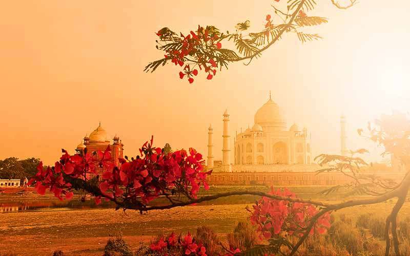 Taj Mahal Sunrise Tour